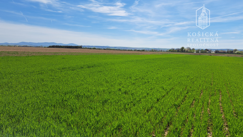 Stavebný pozemok Cestice