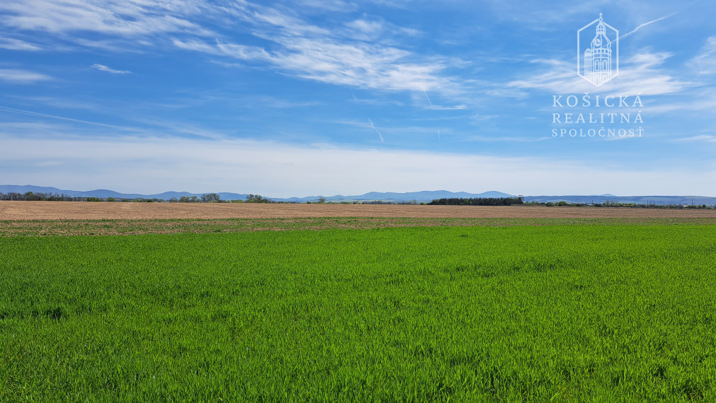 Stavebný pozemok Cestice