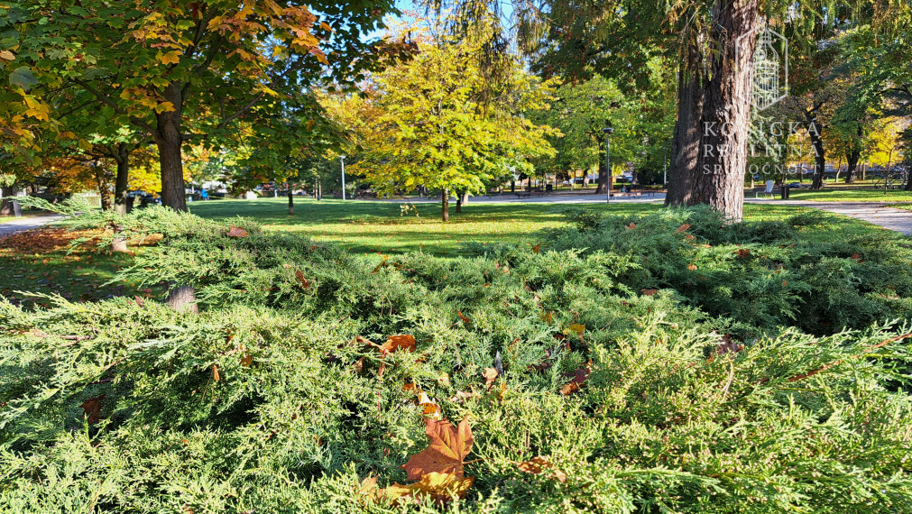 REZERVOVANÉ - 1 izbový byt Tolstého Košice - Sever