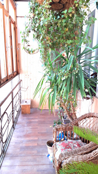 MEZONET V CENTRE KOŠÍC