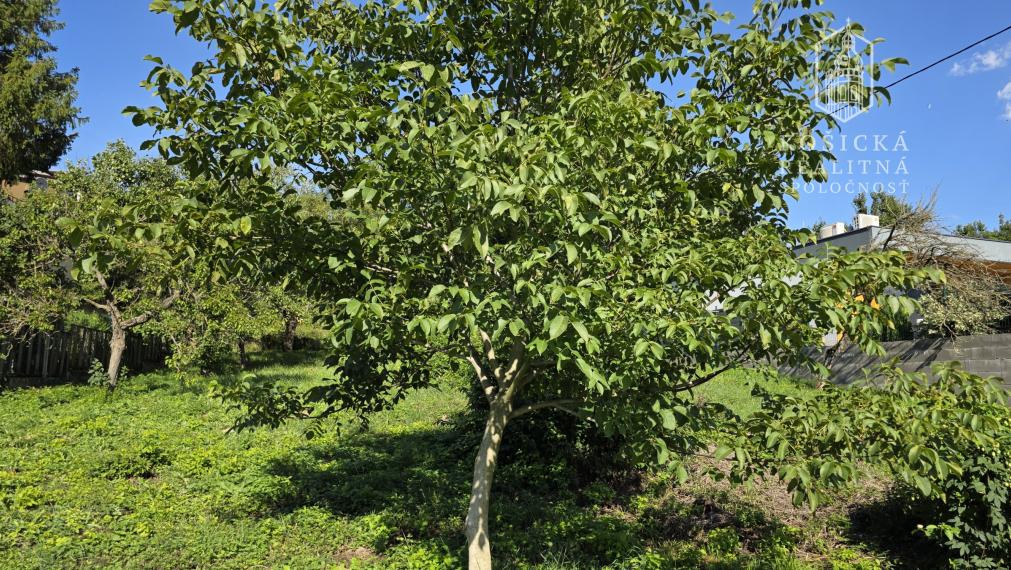 Na Predaj - Pozemok vhodný na stavbu - Nižná Hutka