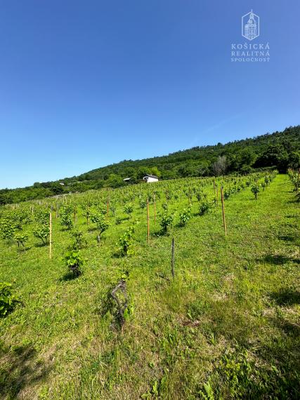Na predaj: Chata s historickým charakterom a priestranným pozemkom – Hrušov, Slovenský kras