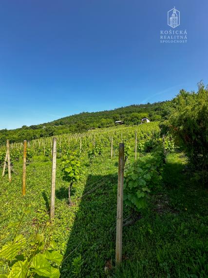 Na predaj: Chata s historickým charakterom a priestranným pozemkom – Hrušov, Slovenský kras