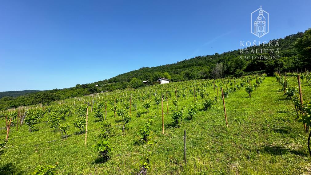 Na predaj: Chata s historickým charakterom a priestranným pozemkom – Hrušov, Slovenský kras