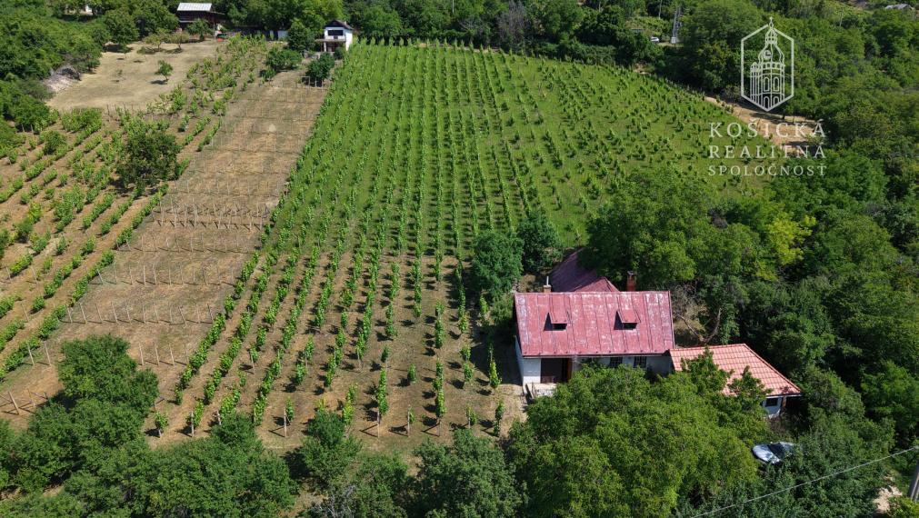 Na predaj: Chata s historickým charakterom a priestranným pozemkom – Hrušov, Slovenský kras
