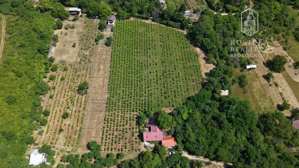 Na predaj: Chata s historickým charakterom a priestranným pozemkom – Hrušov, Slovenský kras