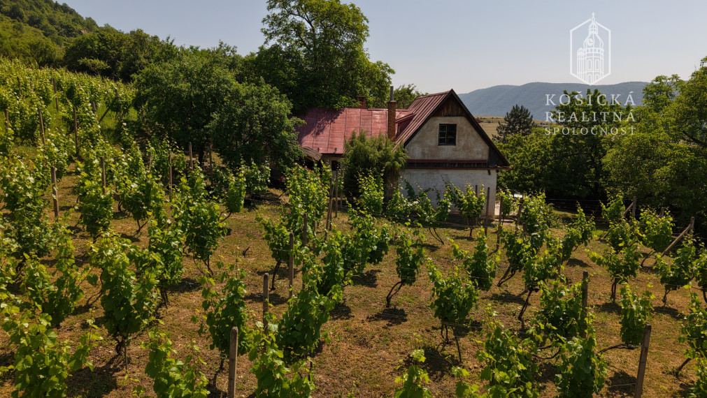Historická chata s vinicou  a kompletným zázemím – Hrušov