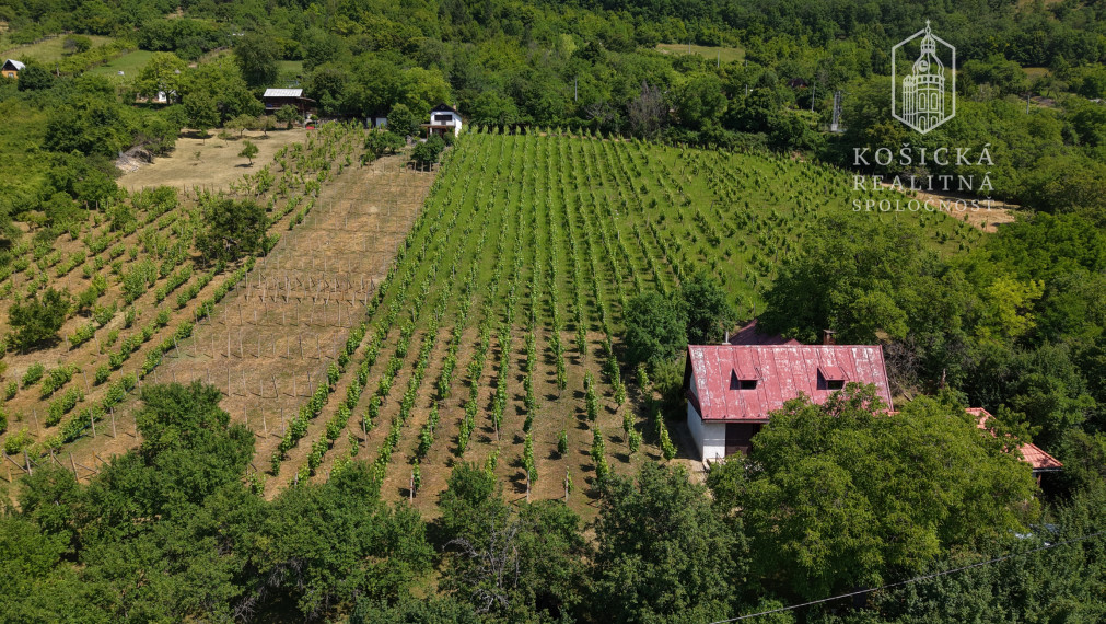 Historická chata s vinicou  a kompletným zázemím – Hrušov