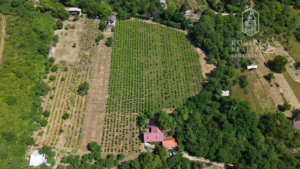 Historická chata s vinicou  a kompletným zázemím – Hrušov