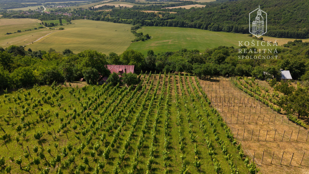 Historická chata s vinicou  a kompletným zázemím – Hrušov
