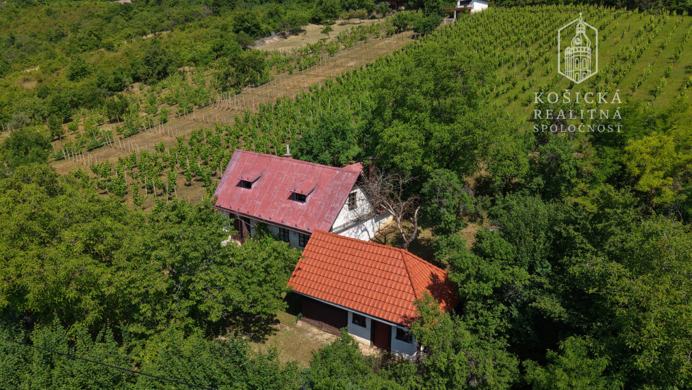 Historická chata s vinicou  a kompletným zázemím – Hrušov