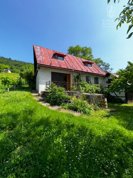 Historická chata s vinicou  a kompletným zázemím – Hrušov
