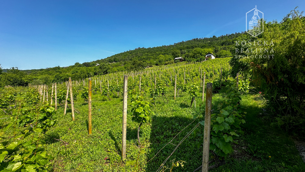 Historická chata s vinicou  a kompletným zázemím – Hrušov