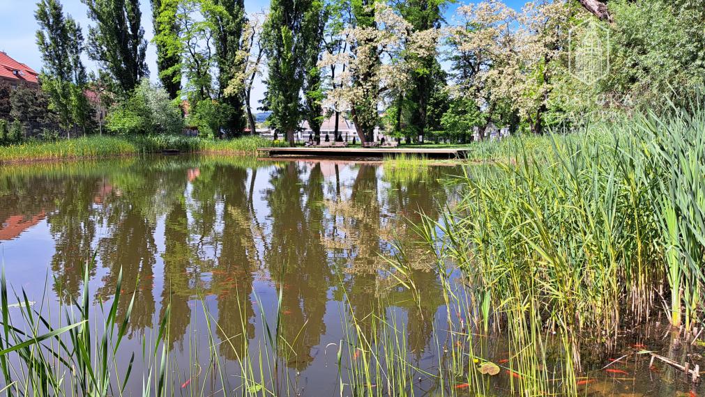 3 izbový tehlový byt Jesenského Košice Staré mesto