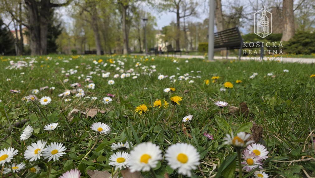 Na predaj - 2,5 izbový byt Komenského Košice