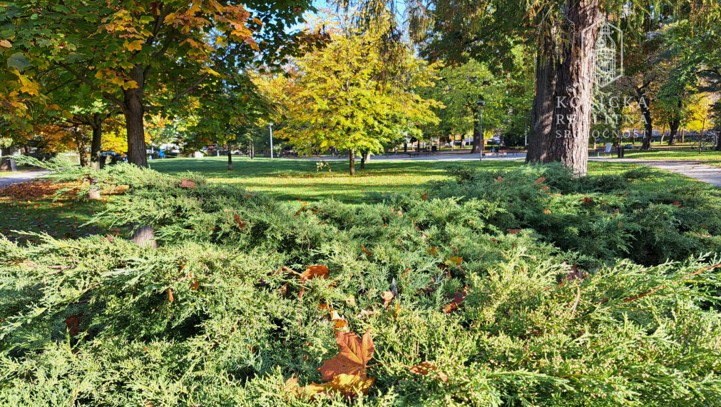 Na predaj - 2,5 izbový byt Komenského Košice