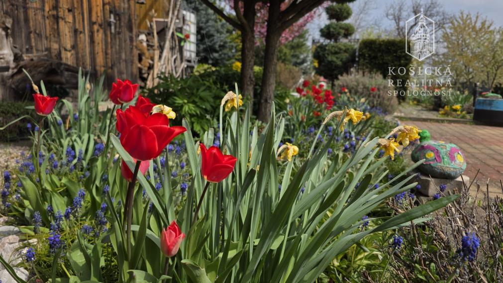 Na predaj Rodinný Dom - Dvorníky Včeláre
