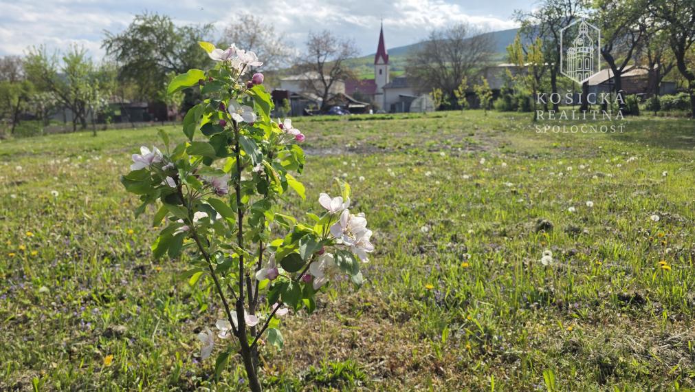 Na predaj - Veľký rodinný dom - Brezina