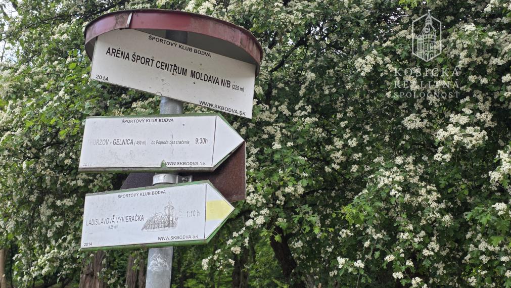 Na Predaj - Veľký 4 izbový byt nám Ľ Štúra Moldava nad Bodvou