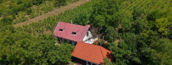 Historická chata s vinicou  a kompletným zázemím – Hrušov