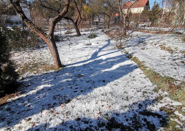 Veľká záhrada v mestskej časti Košice-Sever, Čermeľ