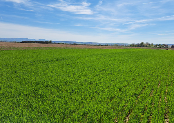 Stavebný pozemok Cestice