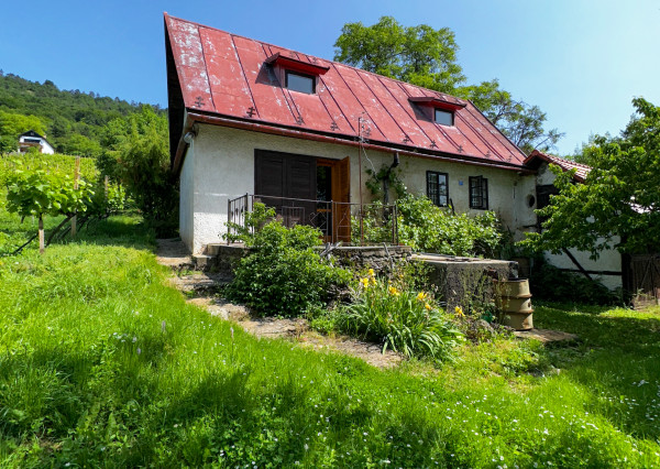 Historická chata s vinicou  a kompletným zázemím – Hrušov