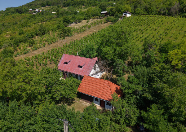 Historická chata s vinicou  a kompletným zázemím – Hrušov