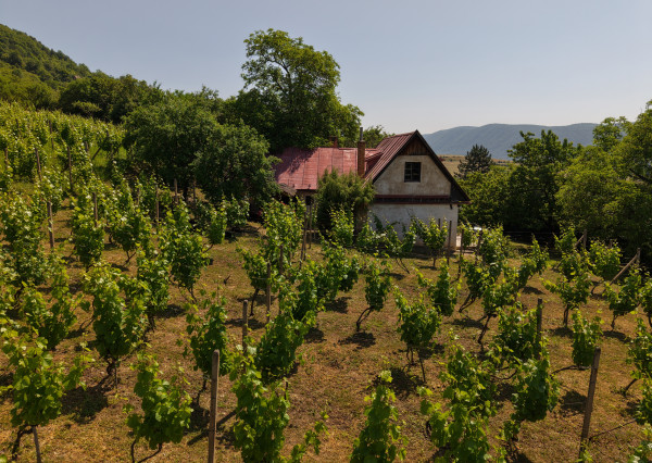 Historická chata s vinicou  a kompletným zázemím – Hrušov
