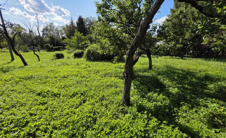 Na Predaj - Pozemok vhodný na stavbu - Nižná Hutka - fotografia 2