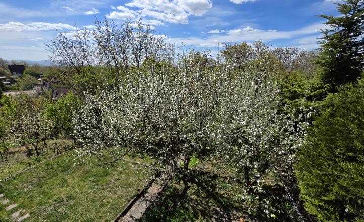 Na Predaj - Murovaná chatka Nižná Hutka - fotografia 5